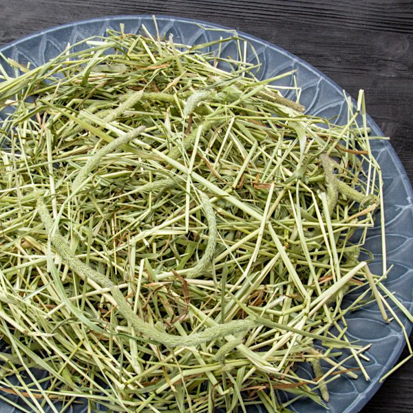 Bunny Nature tilbyder meget høj kvalitet Timothy-hø