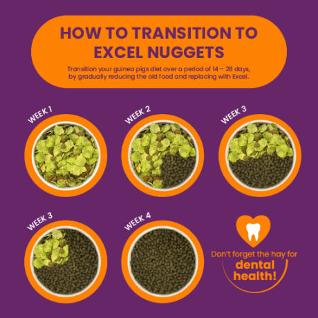 Burgess Excel Adult marsvinfoder - med solbær og oregano 10 kg