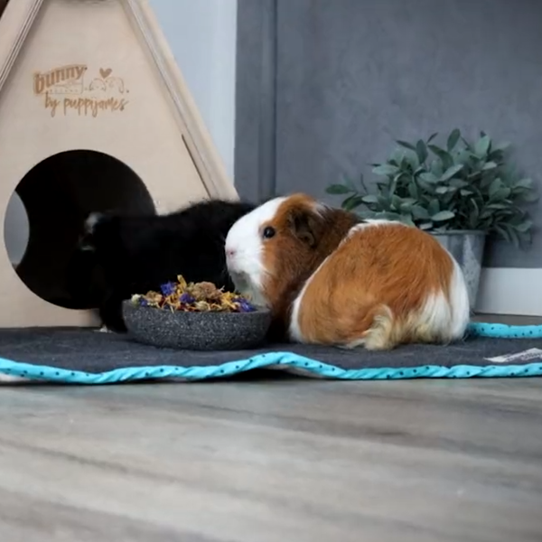 Bunny Bedding EASY Turkis - tæppe med sugeevne ( 1 stk.)