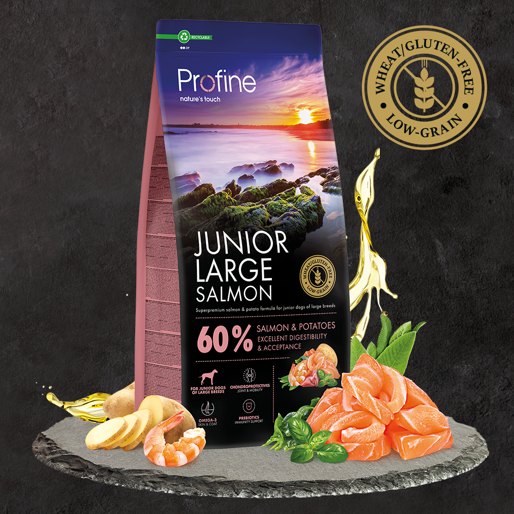 Profine Junior Large Salmon - Kvalitetsfoder til hvalpe og juniorhunde