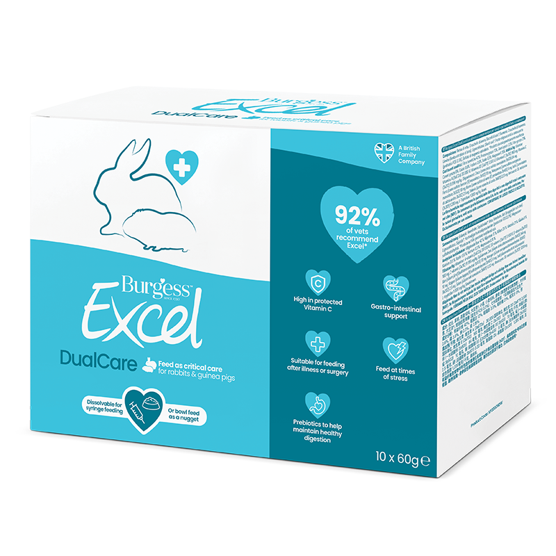 Excel DualCare fra Burgess er et supplerende tilskud til kaniner og marsvin i genoprettelsesfasen efter sygdom eller perioder med stress.