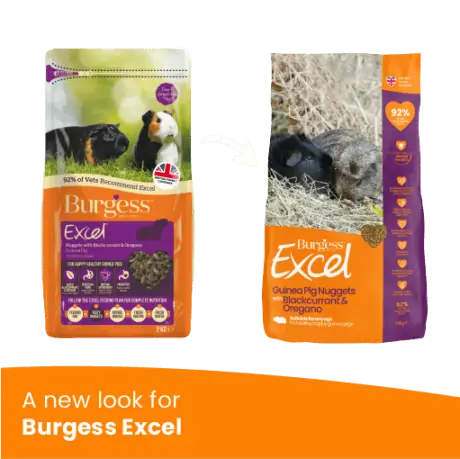 Burgess Excel Adult marsvinfoder - med solbær og oregano (1.5 kg)