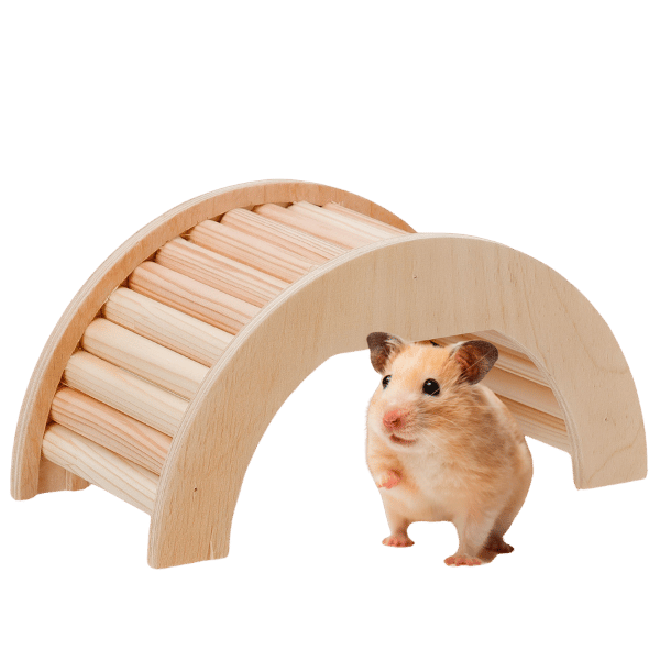 Ferplast Arcade Arch