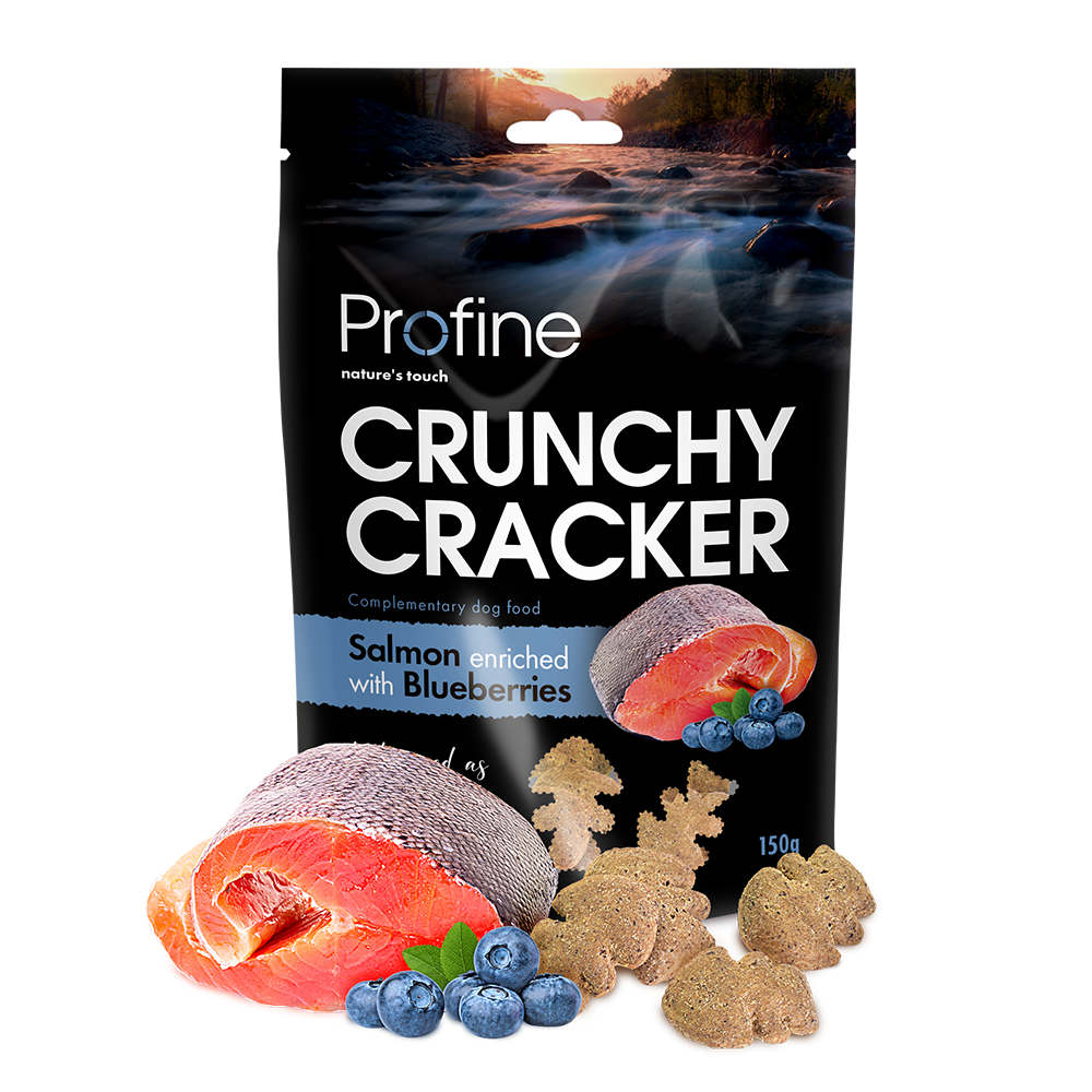 Profine Crunchy Cracker Laks & Blåbær 150g