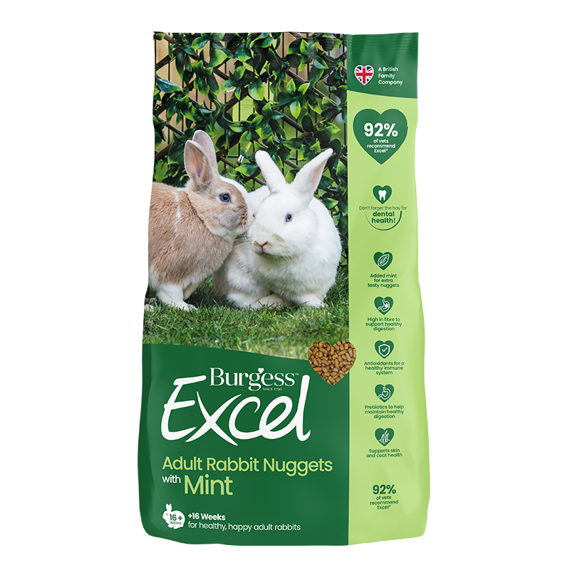 Burgess Excel Adult Rabbit med Mint 10kg