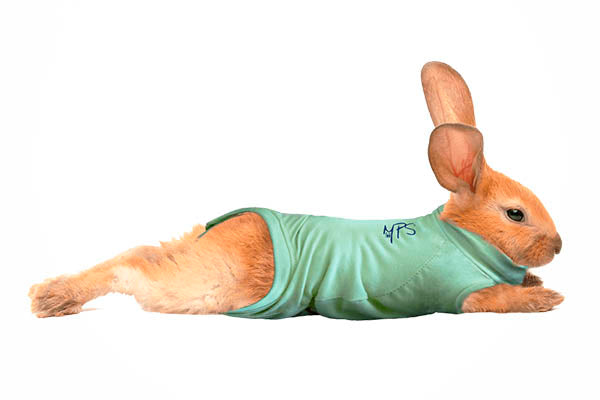 Bodystocking Medical Pet Shirt 1,6-2,0 kg.