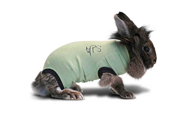 Bodystocking Medical Pet Shirt 1,6-2,0 kg.