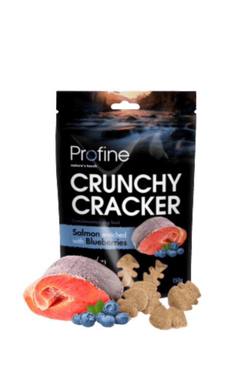 Profine Crunchy Cracker Laks & Blåbær 150g