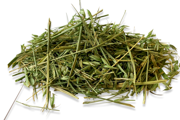 ReadiGrass Green Oat 1kg - til den hø-kræsne kanin