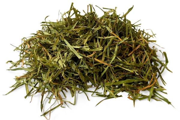 PetDK Soft Cut Timothy Hø - 1kg